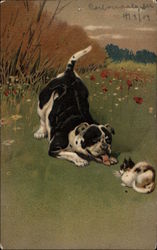 Dog and Cat Playing Postcard