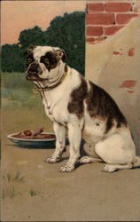 Brown and White Dog with Bowl Postcard