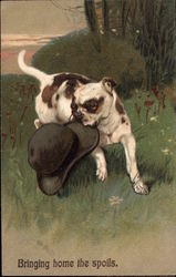 Brown and White Dog Biting a Hat Postcard