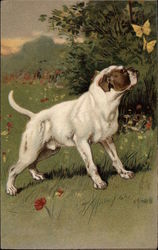 Brown and White Dog Sniffing Butterflies Postcard