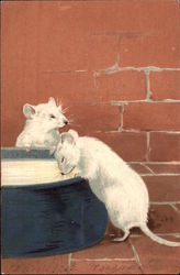 Two White Mice Drinking from Bowl of Milk/Cream Postcard Postcard