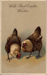 Two Brown and White Hens Postcard