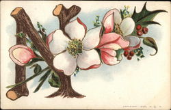 N with Apple Blossoms Postcard