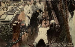 The British Convict Ship "Success" Postcard
