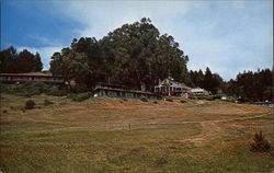 The Heritage House Little River, CA Postcard Postcard