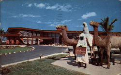 Ben B. Gaines' Sahara Postcard