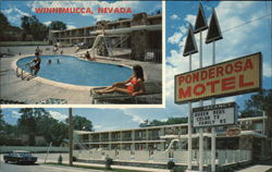 Ponderosa Motel Postcard