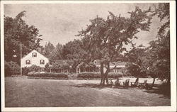 The Whale Inn Postcard
