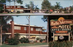 Belle-Vernon Motel-Apartments Postcard