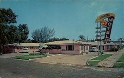 Sun Tan Motel St. Petersburg, FL Postcard Postcard