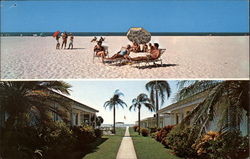 Alicia on the Beach St. Petersburg, FL Postcard Postcard