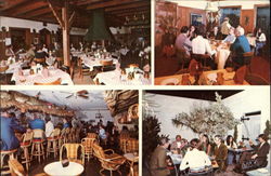 The Inn Between Sarasota, FL Postcard Postcard