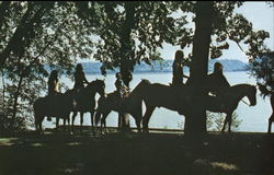 Trail Rides Along the Shores of Lake Pepin - Camp Villa Maria Postcard