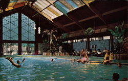 Tropical Pool, The Curtis Hotel and Motor Lodge Postcard