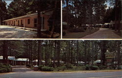 Suburban Pines Motel Manning, SC Postcard Postcard