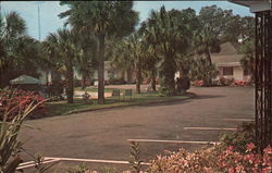Palms Motel and Restaurant Postcard