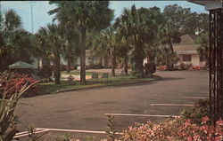 Palms Motel and Restaurant Ridgeland, SC Postcard Postcard