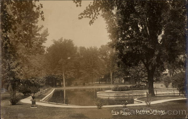 Fish Pond Clifton Springs New York