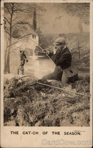 The Cat-ch of the Season Comic, Funny