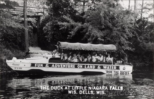 The duck at Little Niagara Falls Wisconsin Dells