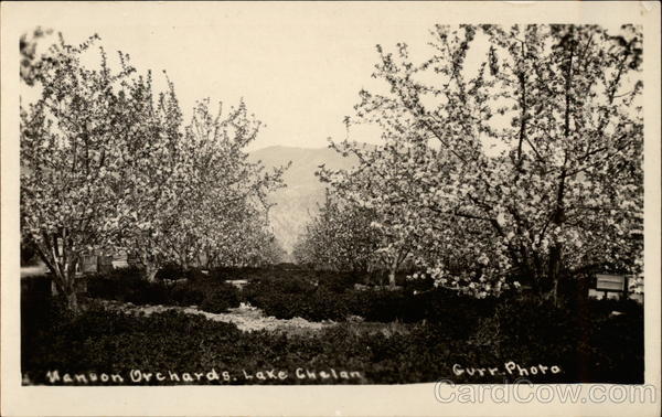 Orchards,Lake Chelan Manson Washington
