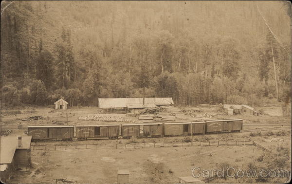 Northern Pacific Lumber Train Trains, Railroad