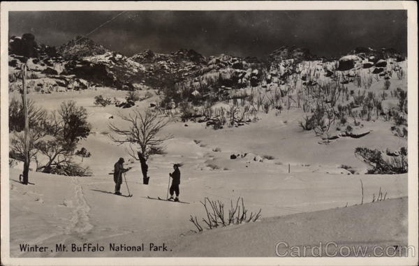 Two Cross Country Skiers in Snowy Scene Mt. Buffalo National Park Australia