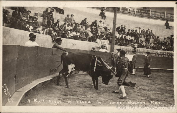 Bull Fight in Plaza de Toros Juarez Mexico