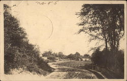 Road into Angelica Postcard