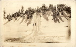 Ski Slope Long Barn, CA Postcard Postcard