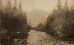 Cheakamus River from Bridge Postcard