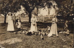 Family Feeding Chickens Family Feeding Chickens