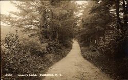 Lover's Lane Postcard