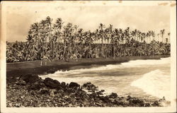 Waves on Beach Kohala, HI Postcard Postcard