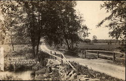 Forest Street Postcard