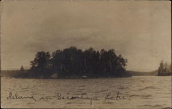 Island in Sacandaga Lake Postcard