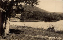 View of River and Riverbank Cedar Lake, IN Postcard Postcard