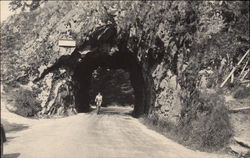 Col de la Fekucht Postcard