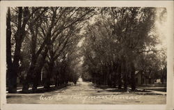 Avenue C Postcard