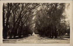 Avenue C Kingman, KS Postcard Postcard