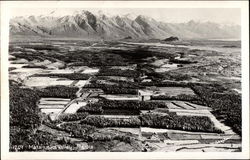 Bird's Eye View of Matanuska Valley Postcard