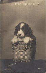 Room for One Only Postcard