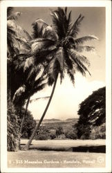 Stock #304880 Thumbnail