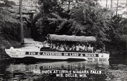The duck at Little Niagara Falls The duck at Little Niagara Falls