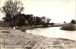 Beaver Meadow Park Postcard