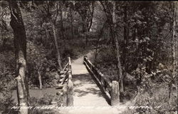 Pathway in Lake of Three Pines State Park Bedford, PA Postcard Postcard