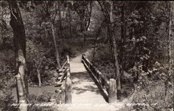Pathway in Lake of Three Pines State Park Postcard