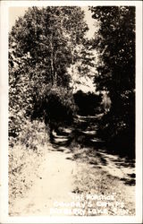 The Portage - Caudry's Camps Postcard