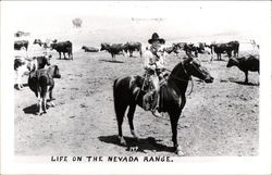 Life on the Nevada Range Life on the Nevada Range