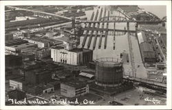 Flood Waters Postcard